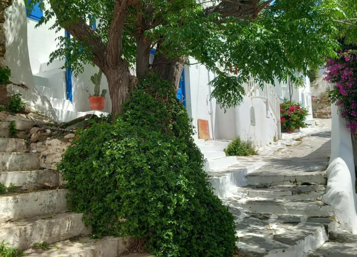 Alex Oldtown Sea View Rooms And Appartments Mykonos Town Guest house
